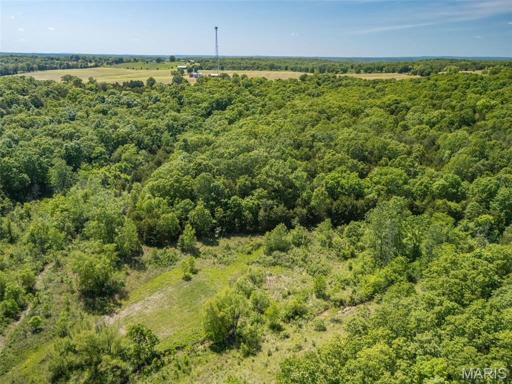 0 State Route 21 Property Photo 37