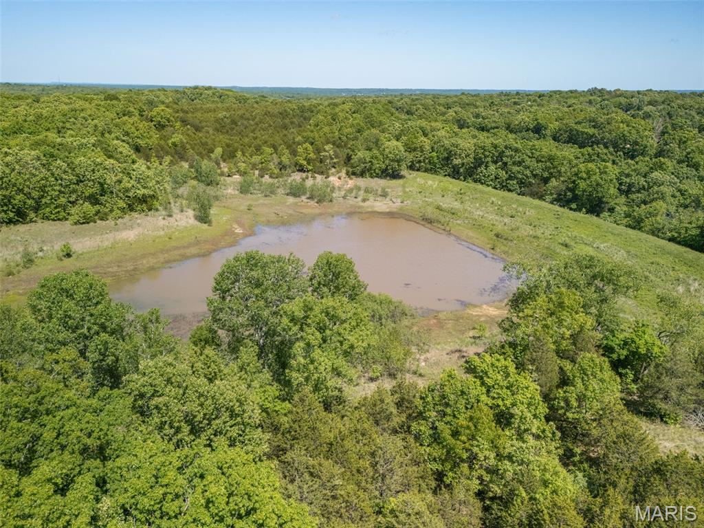 0 State Route 21 Property Photo 39