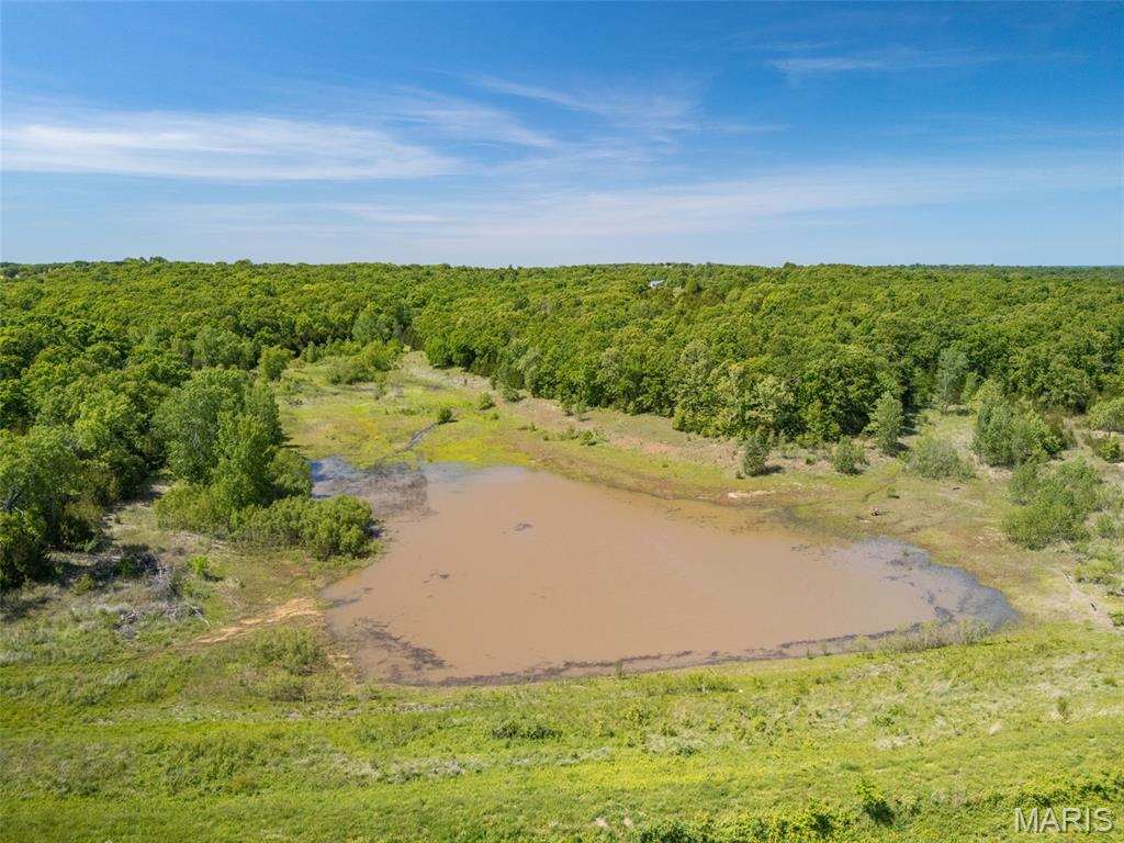 0 State Route 21 Property Photo 41