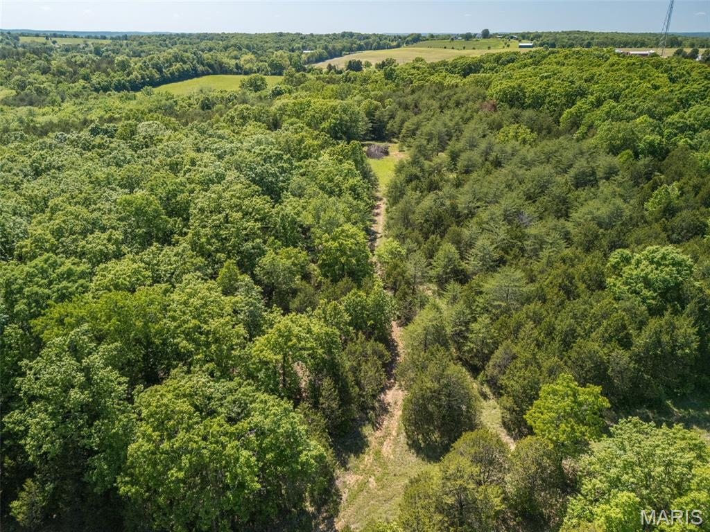 0 State Route 21 Property Photo 42