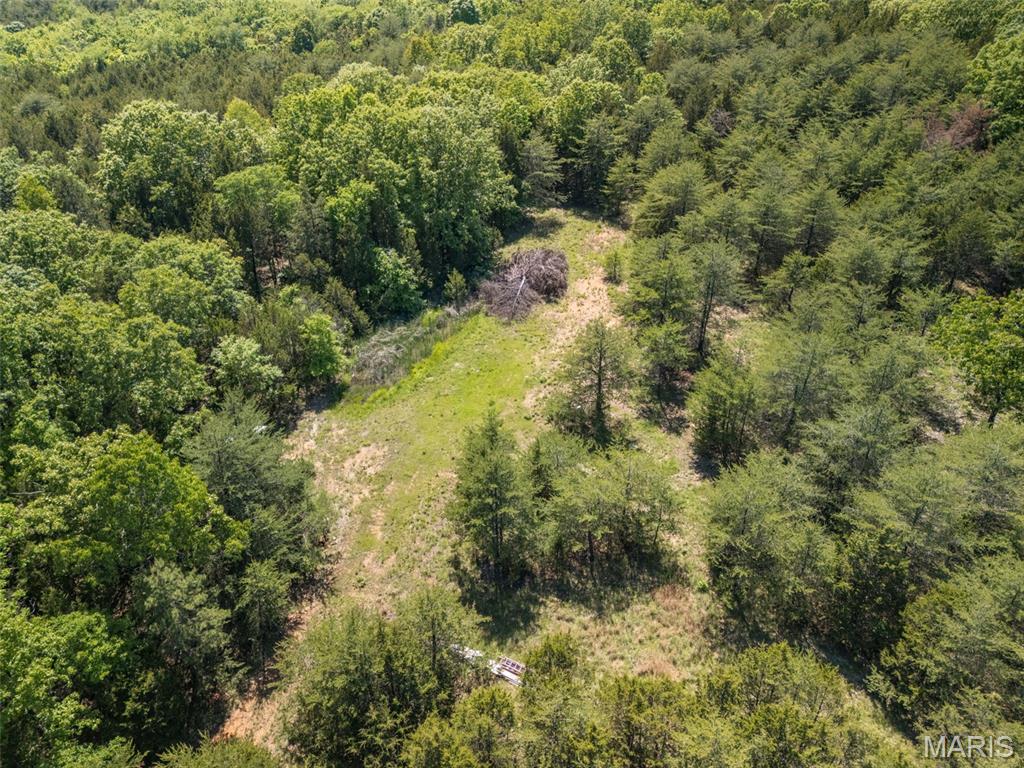 0 State Route 21 Property Photo 43