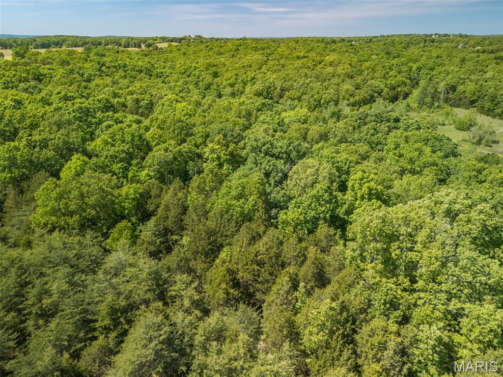 0 State Route 21 Property Photo 44