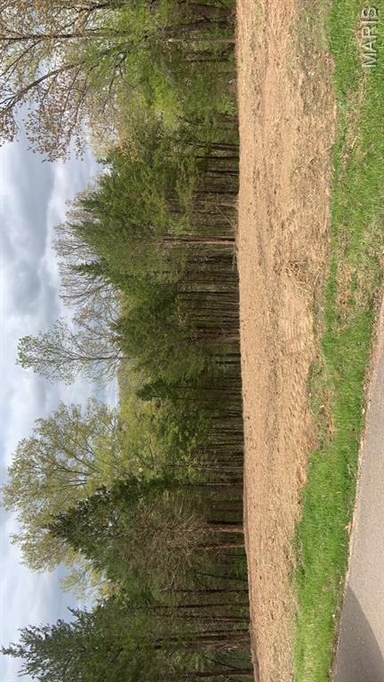 11524 Ten Point Lane Property Photo 1