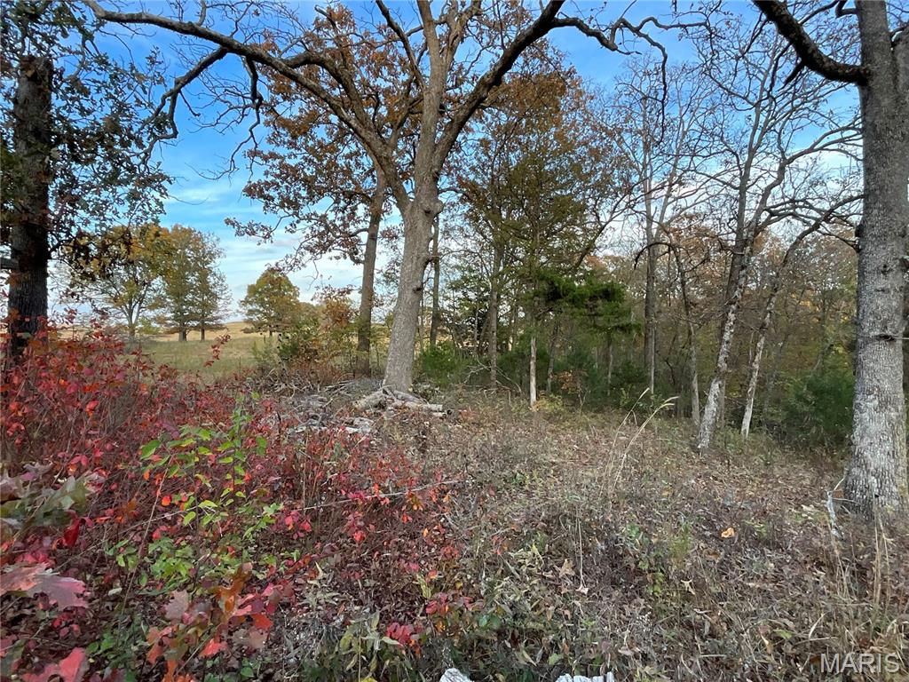 Tbd Ledbetter Hollow Property Photo 18
