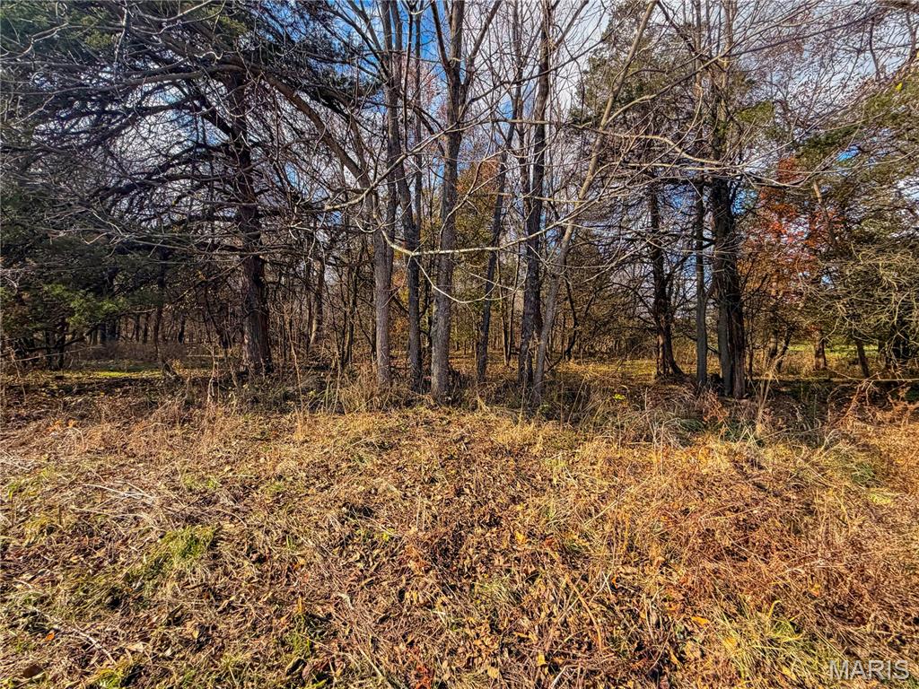 22856 Highway 32 Property Photo 25