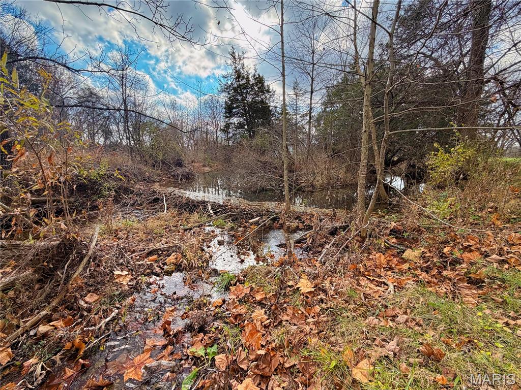 22856 Highway 32 Property Photo 29