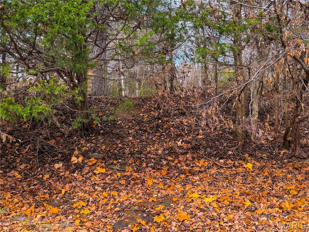 22856 Highway 32 Property Photo 36