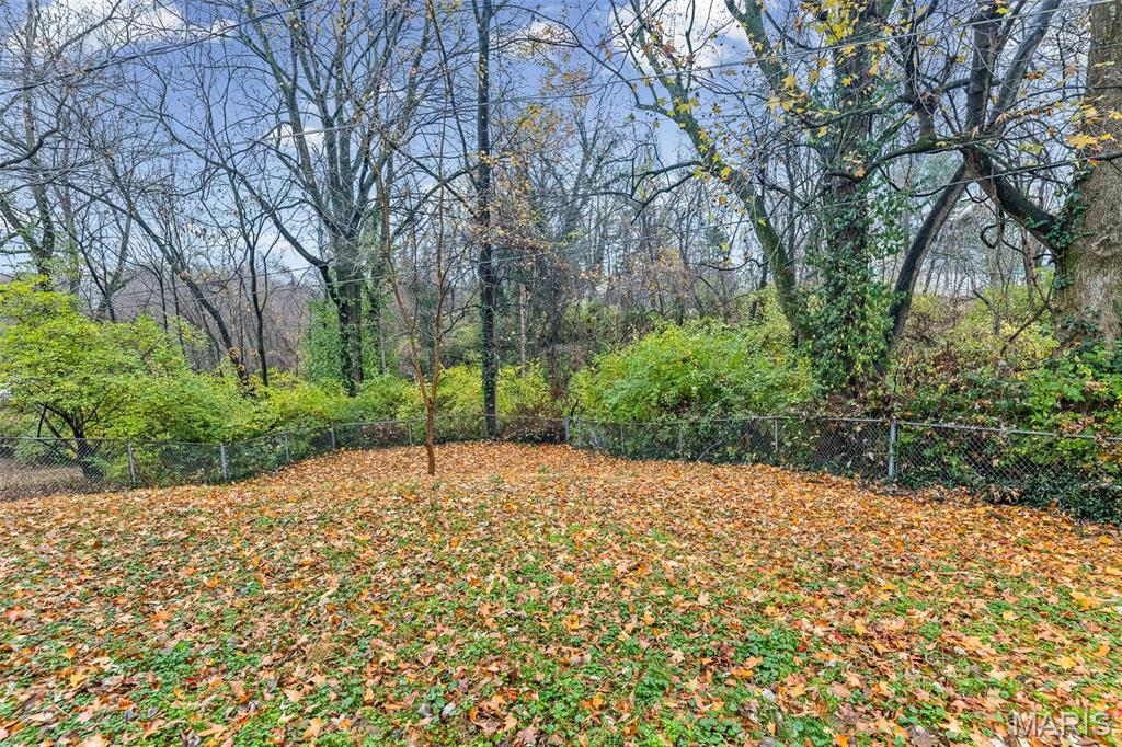 106 N 81st Street Property Photo 40