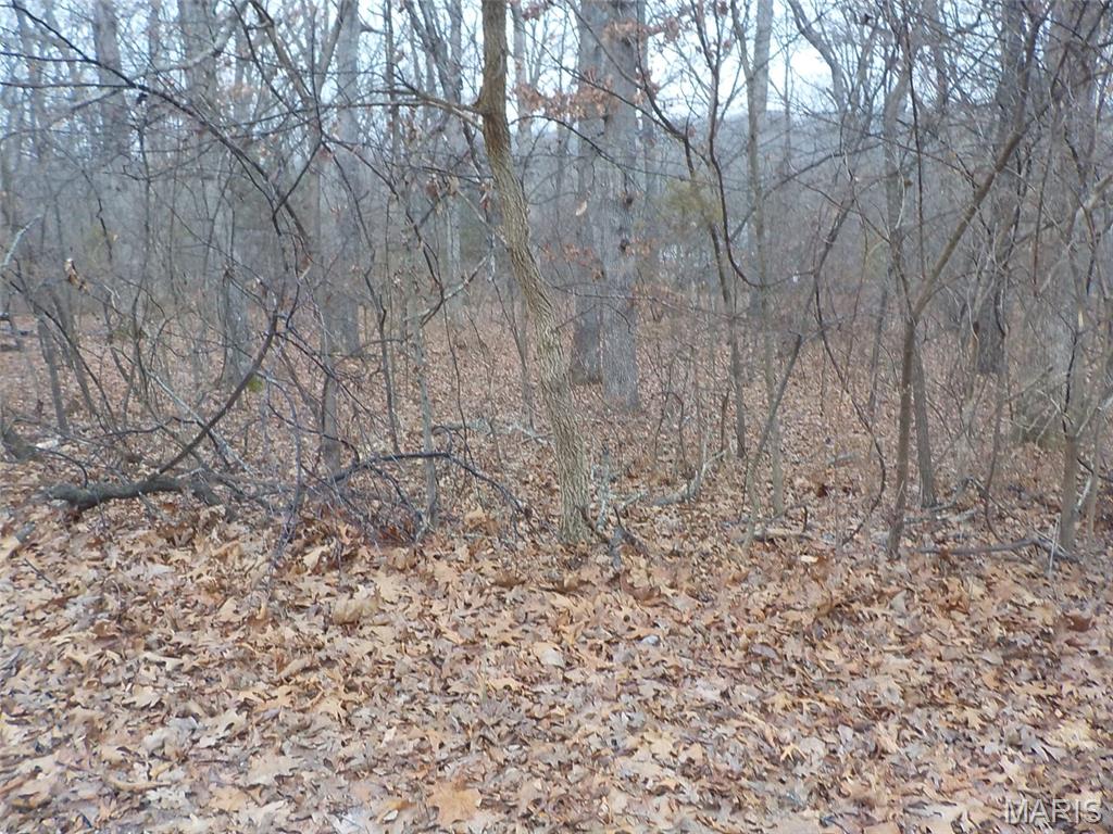 9712 Southwood Drive Property Photo 4
