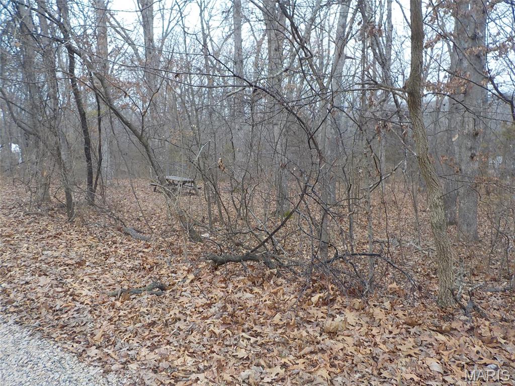9712 Southwood Drive Property Photo 5