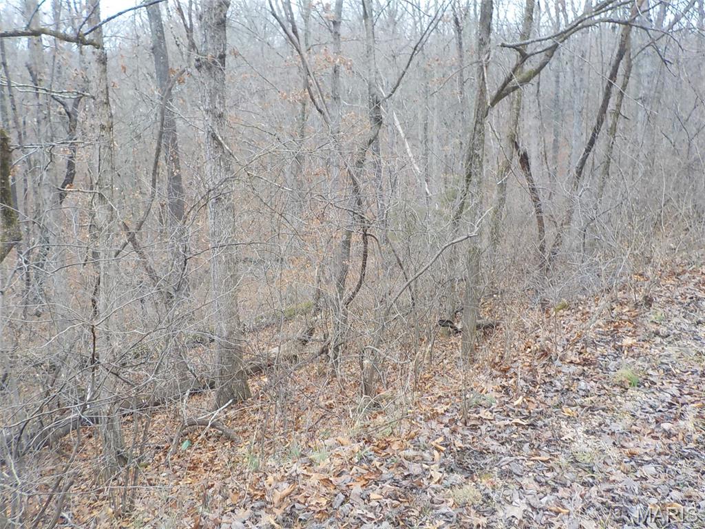 9712 Southwood Drive Property Photo 8