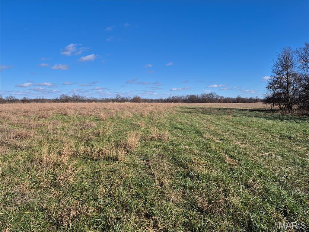 0 County Road 197 - Tract 1 (22+/- Acres) Property Photo 1