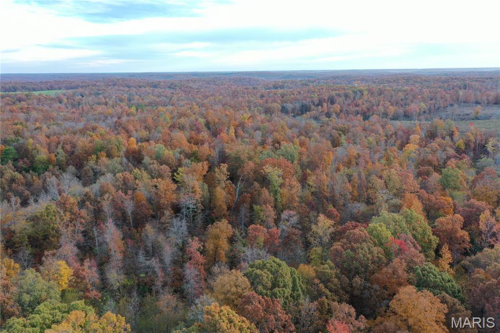 Tbd Tract 3 Bobwhite Lane Property Photo 1