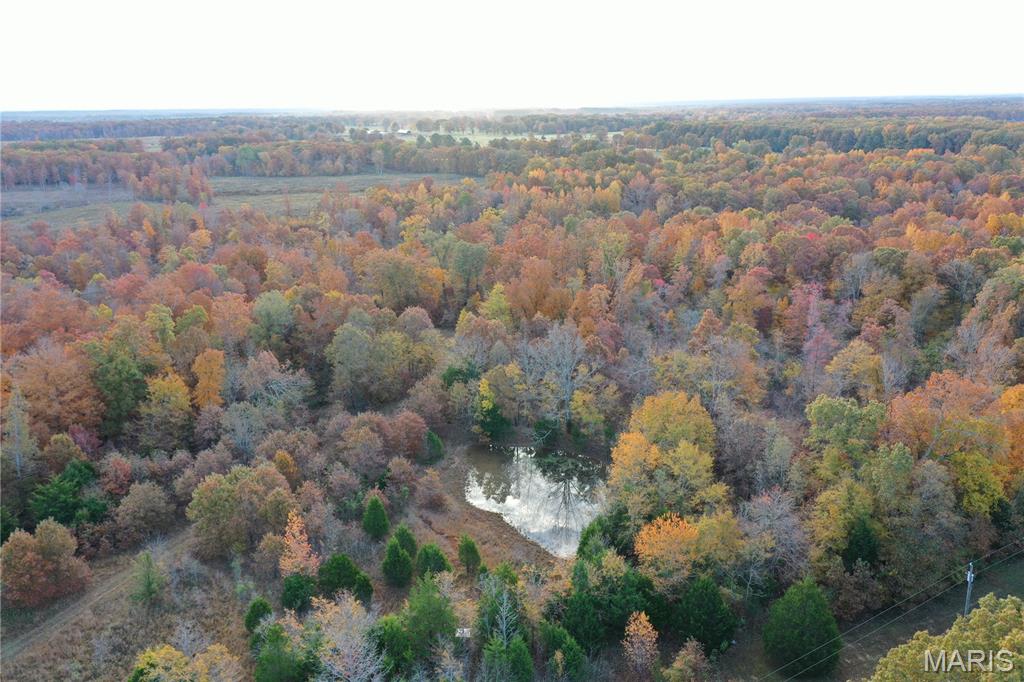 Tbd Tract 2 Bobwhite Lane Property Photo 1