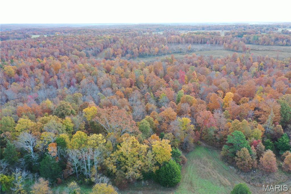 Tbd Tract 5 Bobwhite Lane Property Photo 3