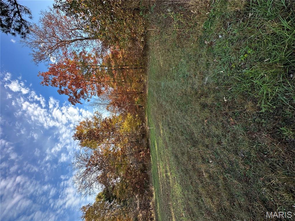 Tbd Tract 5 Bobwhite Lane Property Photo 4