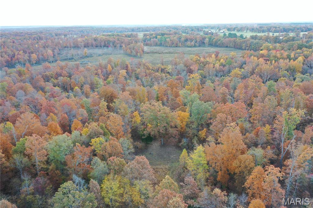 Tbd Tract 5 Bobwhite Lane Property Photo 9
