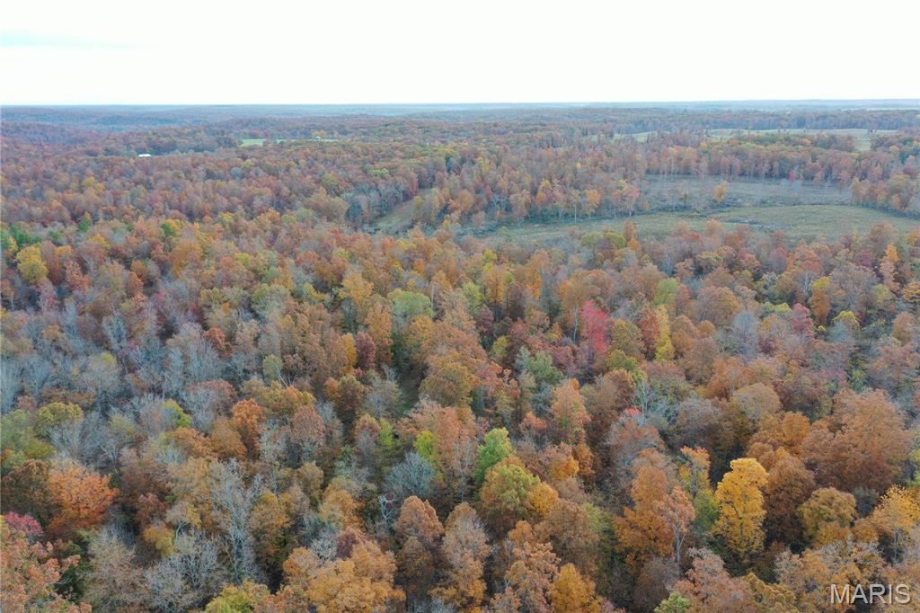 Tbd Tract 5 Bobwhite Lane Property Photo 10