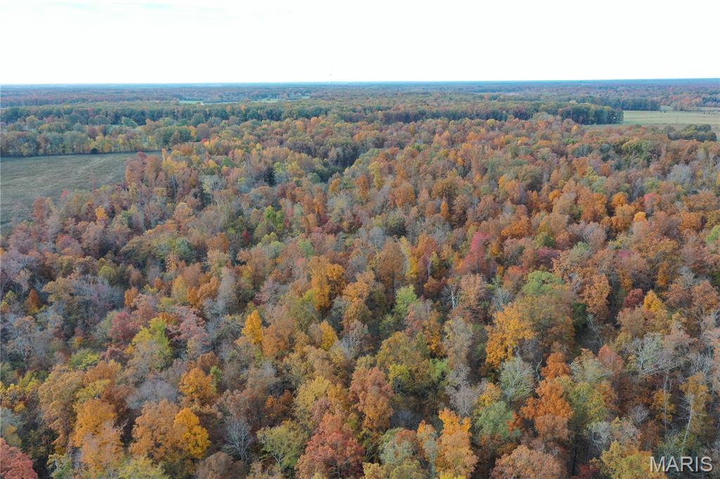 Tbd Tract 5 Bobwhite Lane Property Photo 13