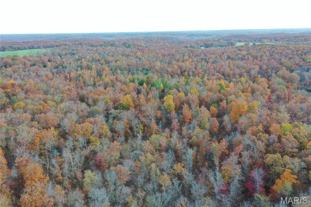 Tbd Tract 5 Bobwhite Lane Property Photo 14