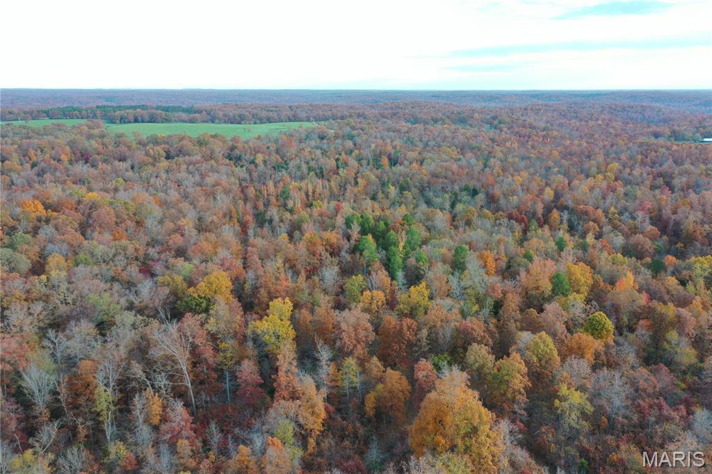 Tbd Tract 5 Bobwhite Lane Property Photo 15