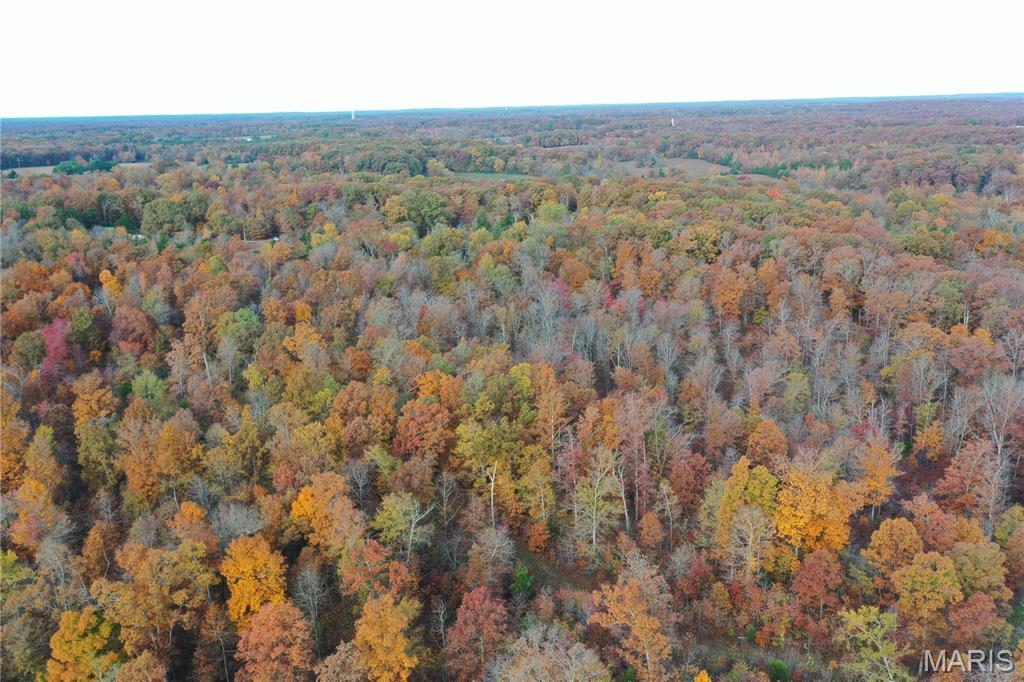 Tbd Tract 5 Bobwhite Lane Property Photo 16