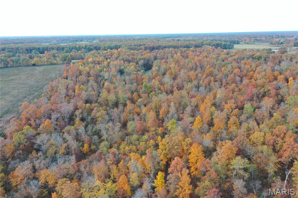 Tbd Tract 5 Bobwhite Lane Property Photo 18