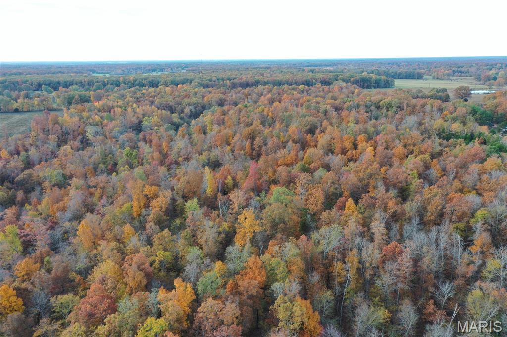 Tbd Tract 5 Bobwhite Lane Property Photo 19