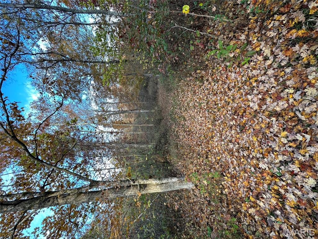 Tbd Tract 5 Bobwhite Lane Property Photo 21
