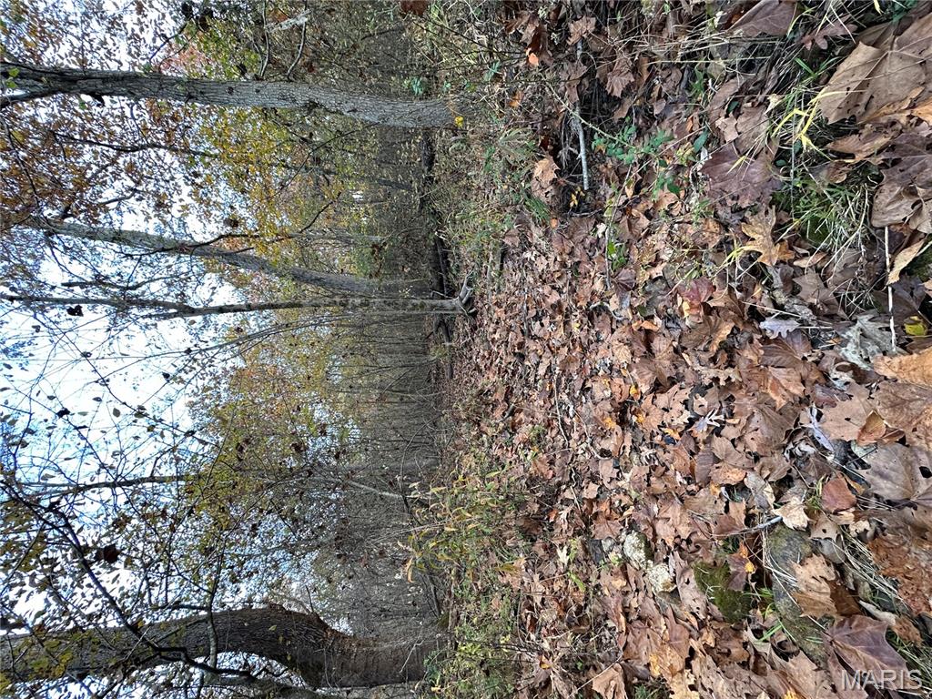 Tbd Tract 5 Bobwhite Lane Property Photo 22