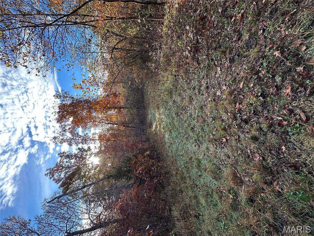 Tbd Tract 5 Bobwhite Lane Property Photo 23