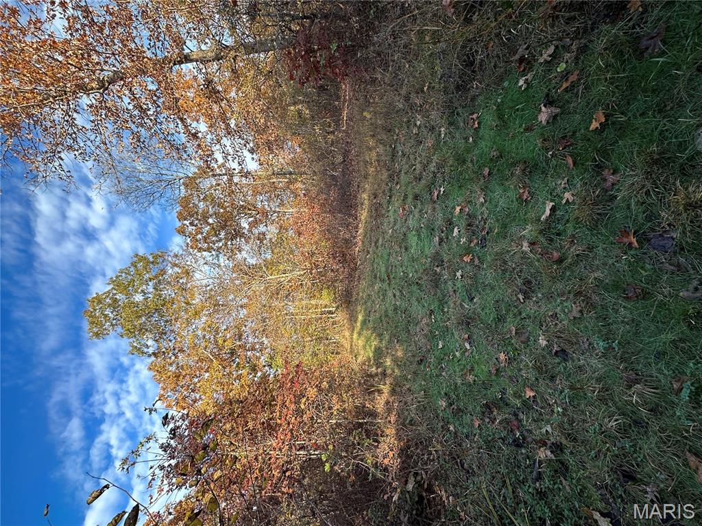 Tbd Tract 5 Bobwhite Lane Property Photo 25