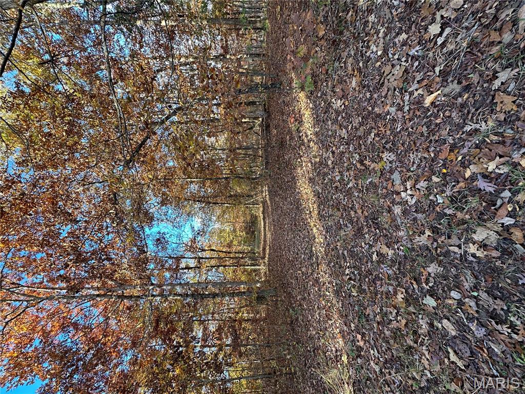 Tbd Tract 5 Bobwhite Lane Property Photo 26