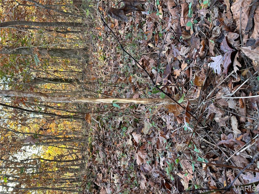 Tbd Tract 5 Bobwhite Lane Property Photo 27