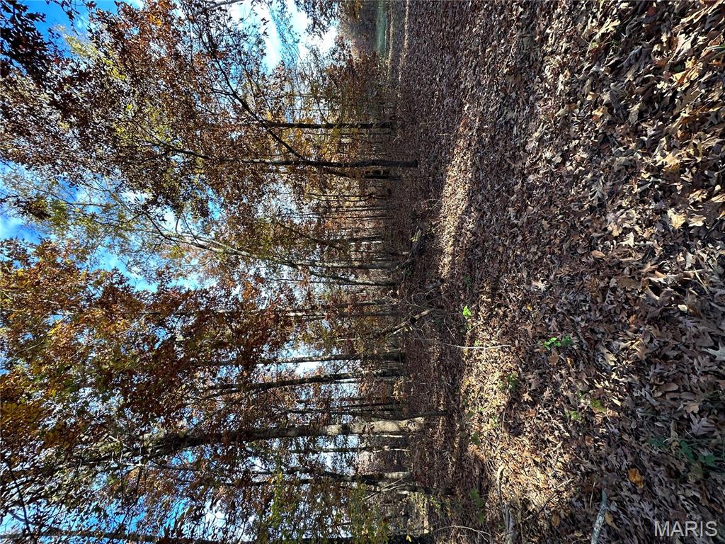 Tbd Tract 5 Bobwhite Lane Property Photo 28