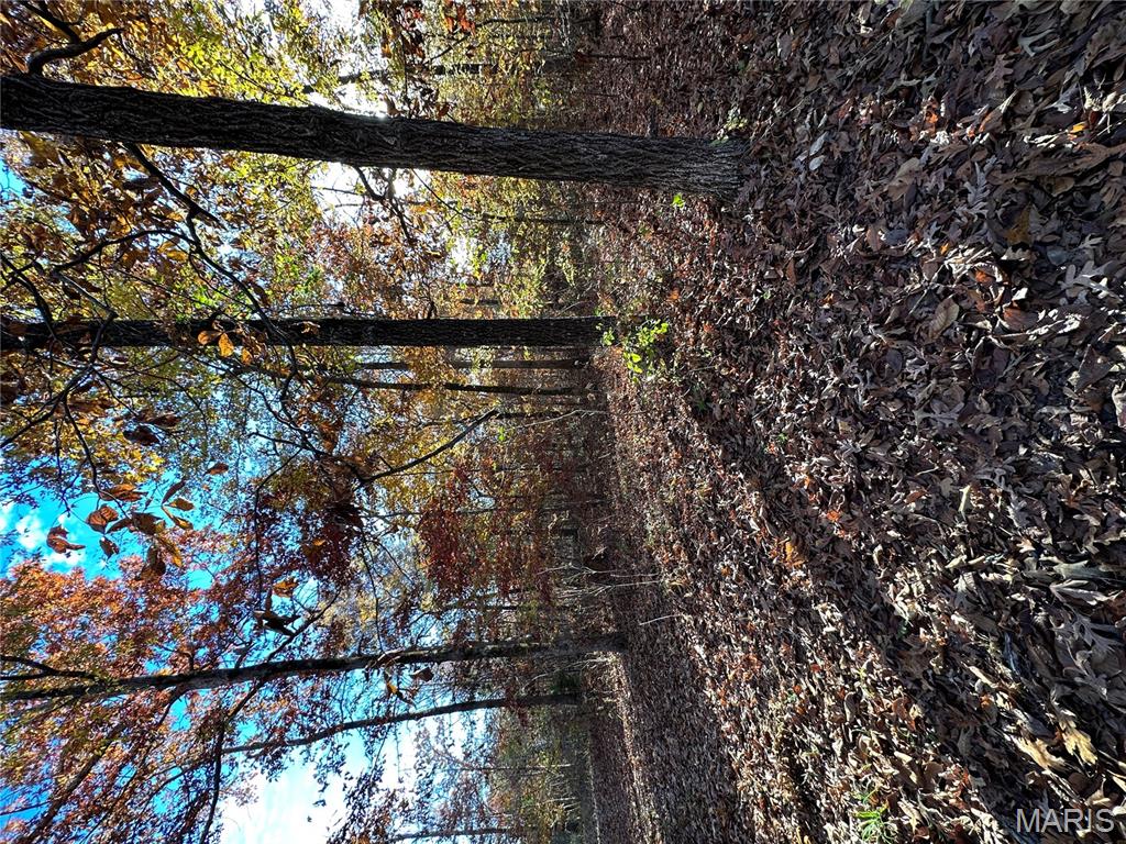 Tbd Tract 5 Bobwhite Lane Property Photo 29