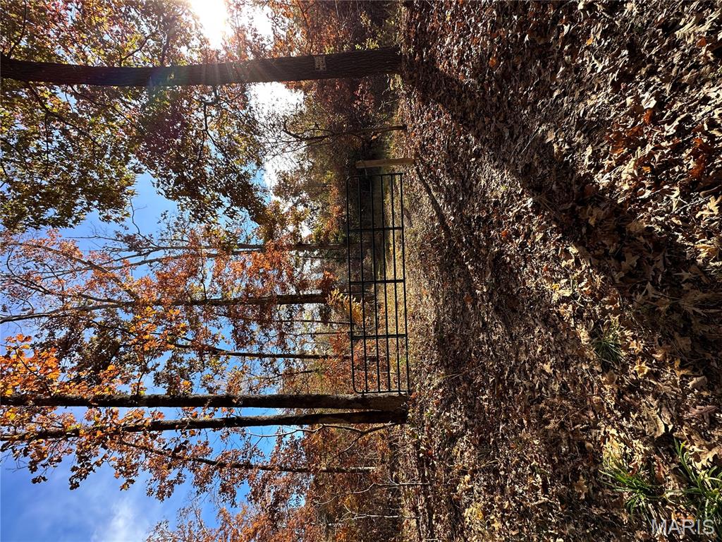 Tbd Tract 5 Bobwhite Lane Property Photo 32