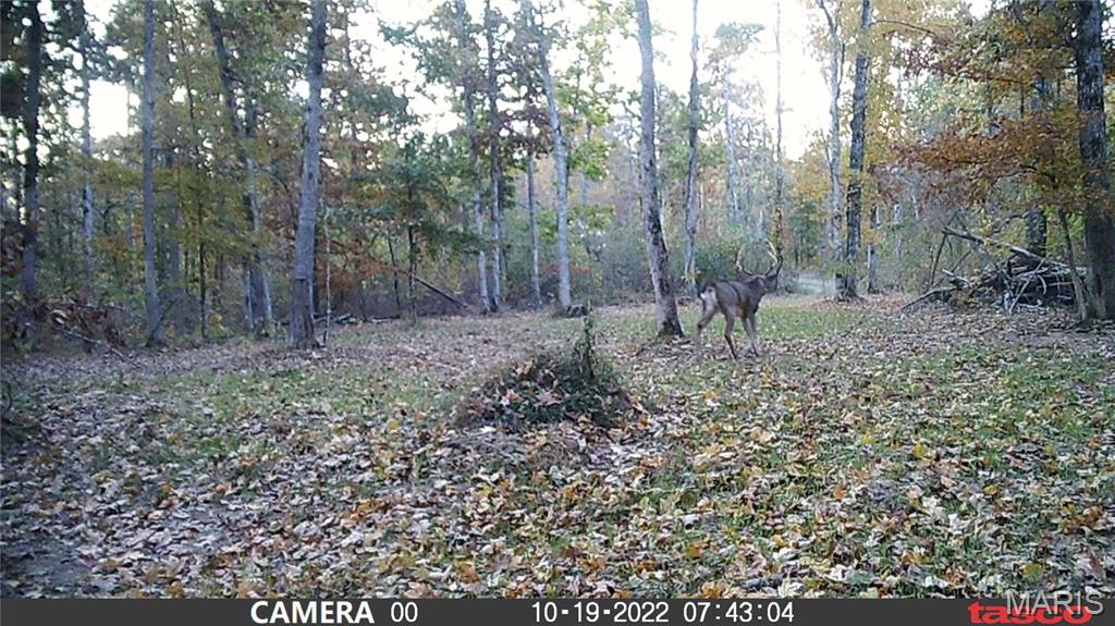 Tbd Tract 5 Bobwhite Lane Property Photo 34