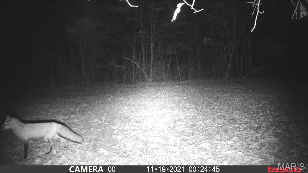 Tbd Tract 5 Bobwhite Lane Property Photo 39