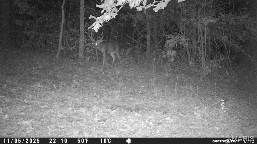 Tbd Tract 5 Bobwhite Lane Property Photo 55