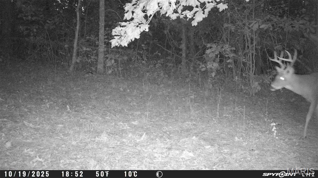 Tbd Tract 5 Bobwhite Lane Property Photo 57