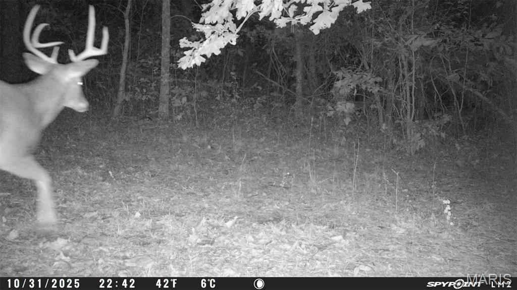 Tbd Tract 5 Bobwhite Lane Property Photo 59