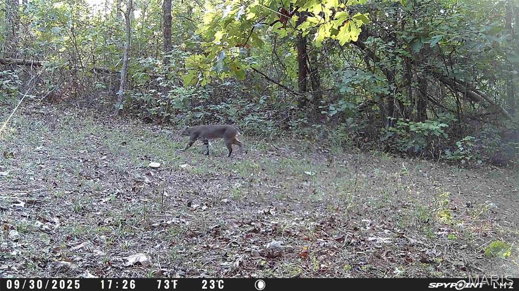 Tbd Tract 5 Bobwhite Lane Property Photo 60