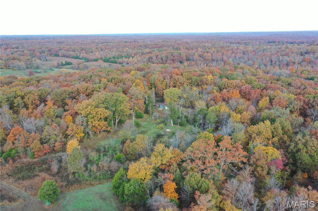 Tbd Tract 4 Bobwhite Lane Property Photo 1