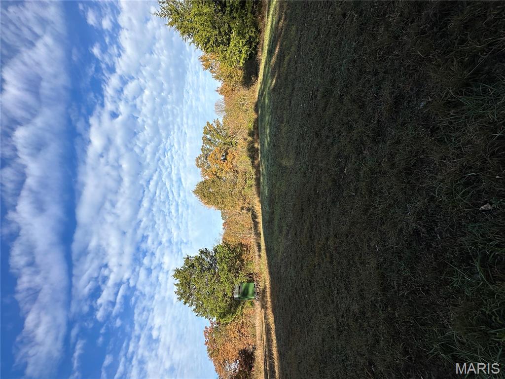 Tbd Tract 4 Bobwhite Lane Property Photo 2