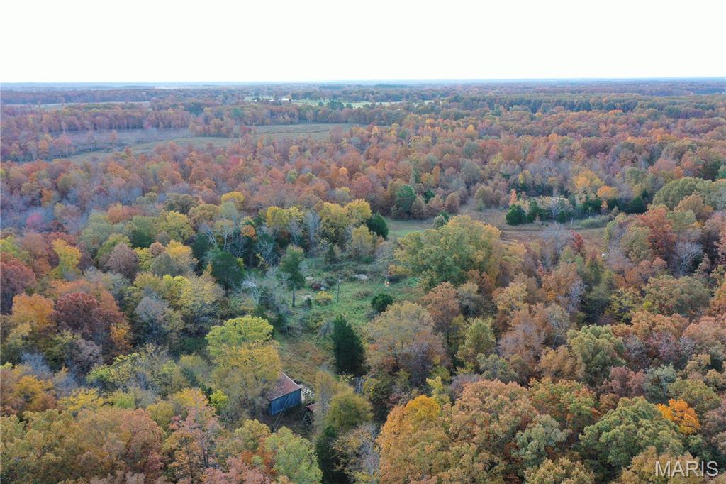 Tbd Tract 4 Bobwhite Lane Property Photo 3