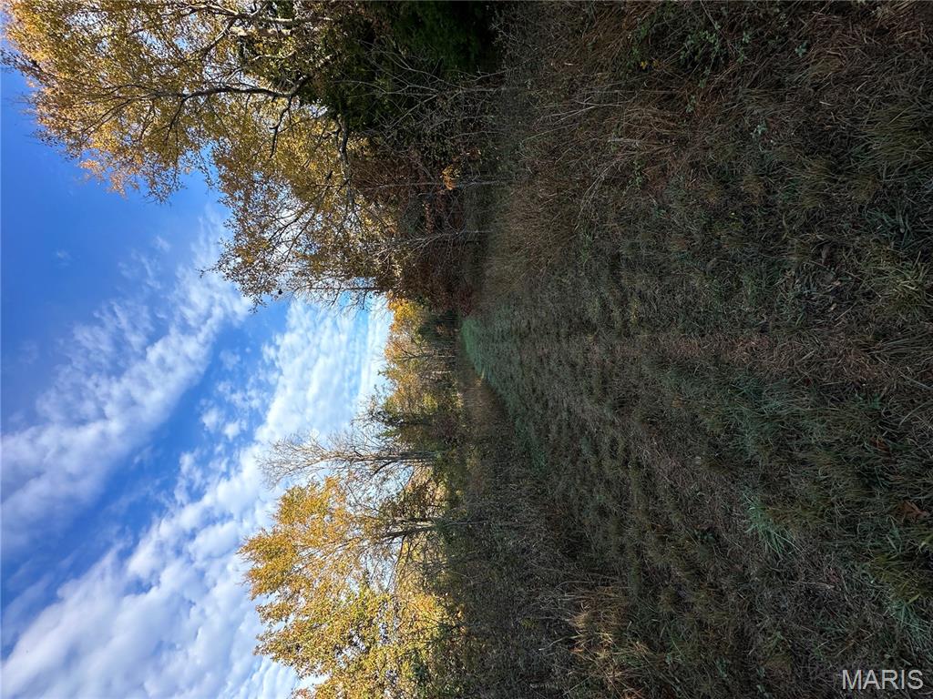 Tbd Tract 4 Bobwhite Lane Property Photo 4