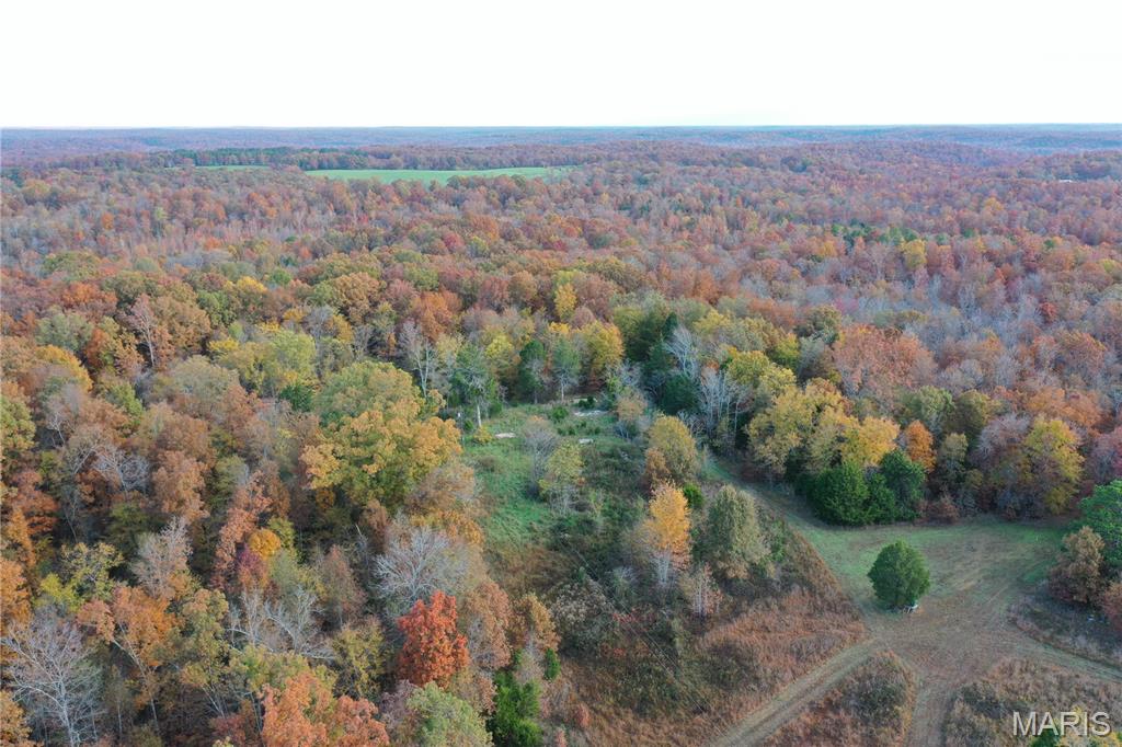 Tbd Tract 4 Bobwhite Lane Property Photo 5