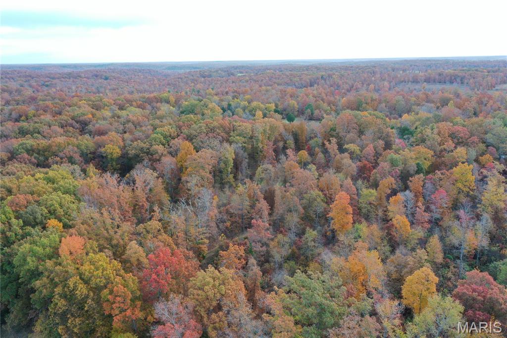 Tbd Tract 4 Bobwhite Lane Property Photo 8
