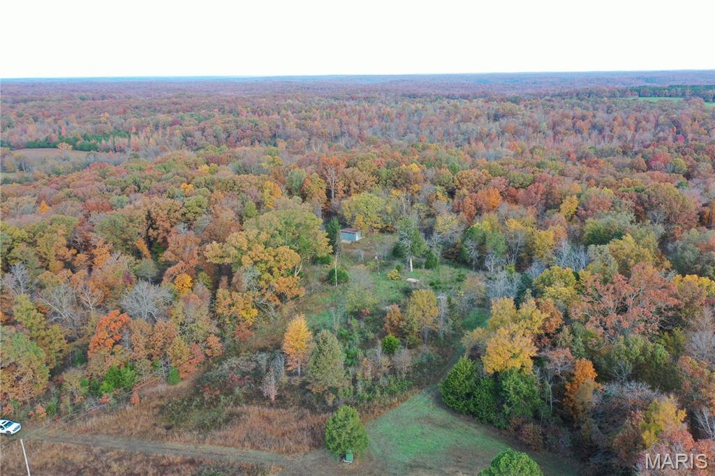 Tbd Tract 4 Bobwhite Lane Property Photo 9